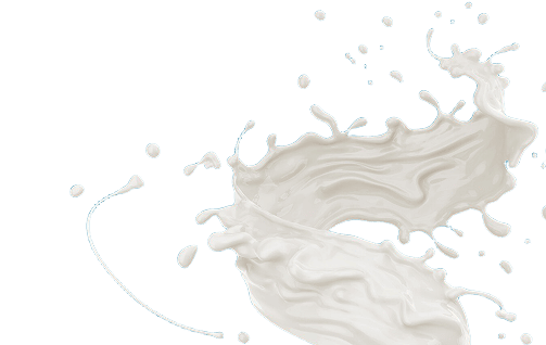 tesia dairy Milk Splash