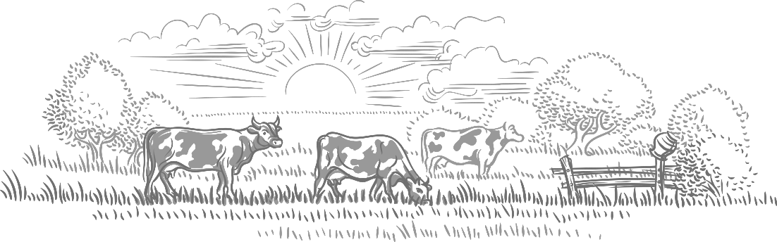 tesia dairy Footer background